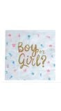 20 papieren servetten Gender Reveal