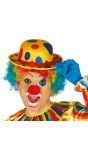 Gestipte bolhoed clown