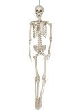 Halloween hangend skelet 160cm