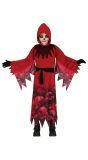 Halloween rode skull reaper outfit kind