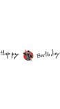 Ninja 'Happy Birthday' Letterslinger 120cm