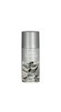 Zilveren kerstverfspray 150ml