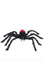 Zwarte harige spin 60 cm halloween