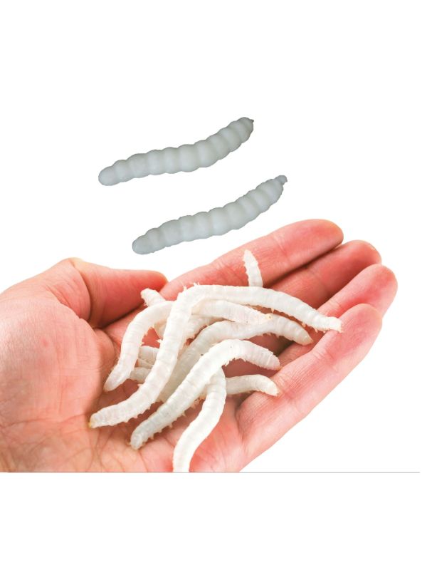 20 witte elastische wormen 4 cm halloween