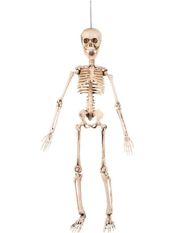 ruimte De Assortiment Bewegende skelet decoratie halloween | Feestkleding.nl