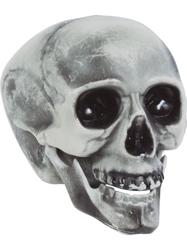 Cursus Nuchter aangrenzend Plastic schedel 20cm | Feestkleding.nl