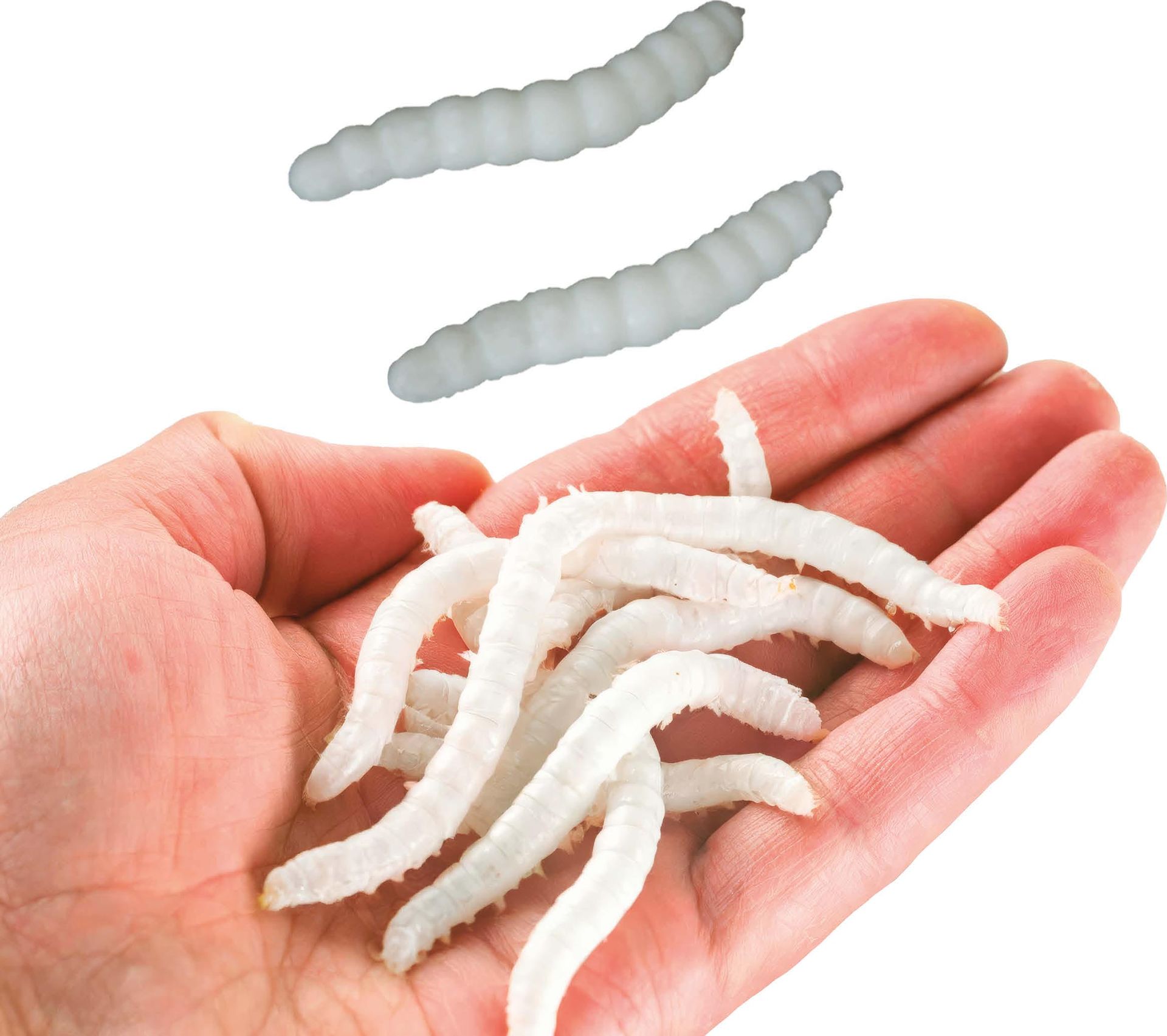 20 witte elastische wormen 4 cm halloween