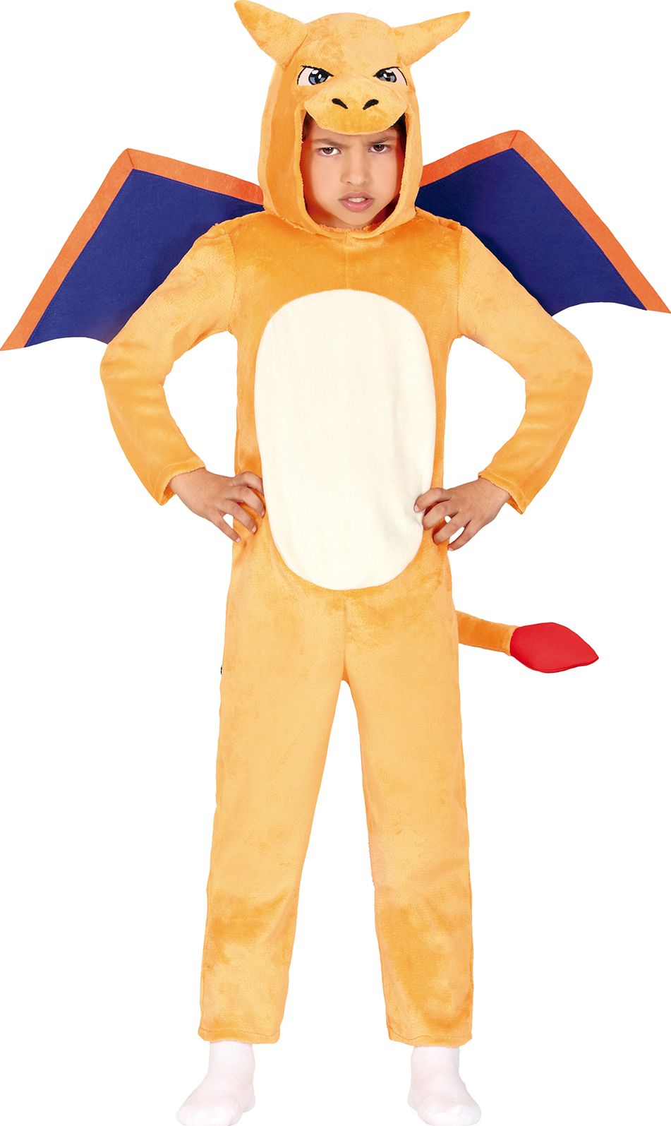 Charizard Pokemon Outfit kind