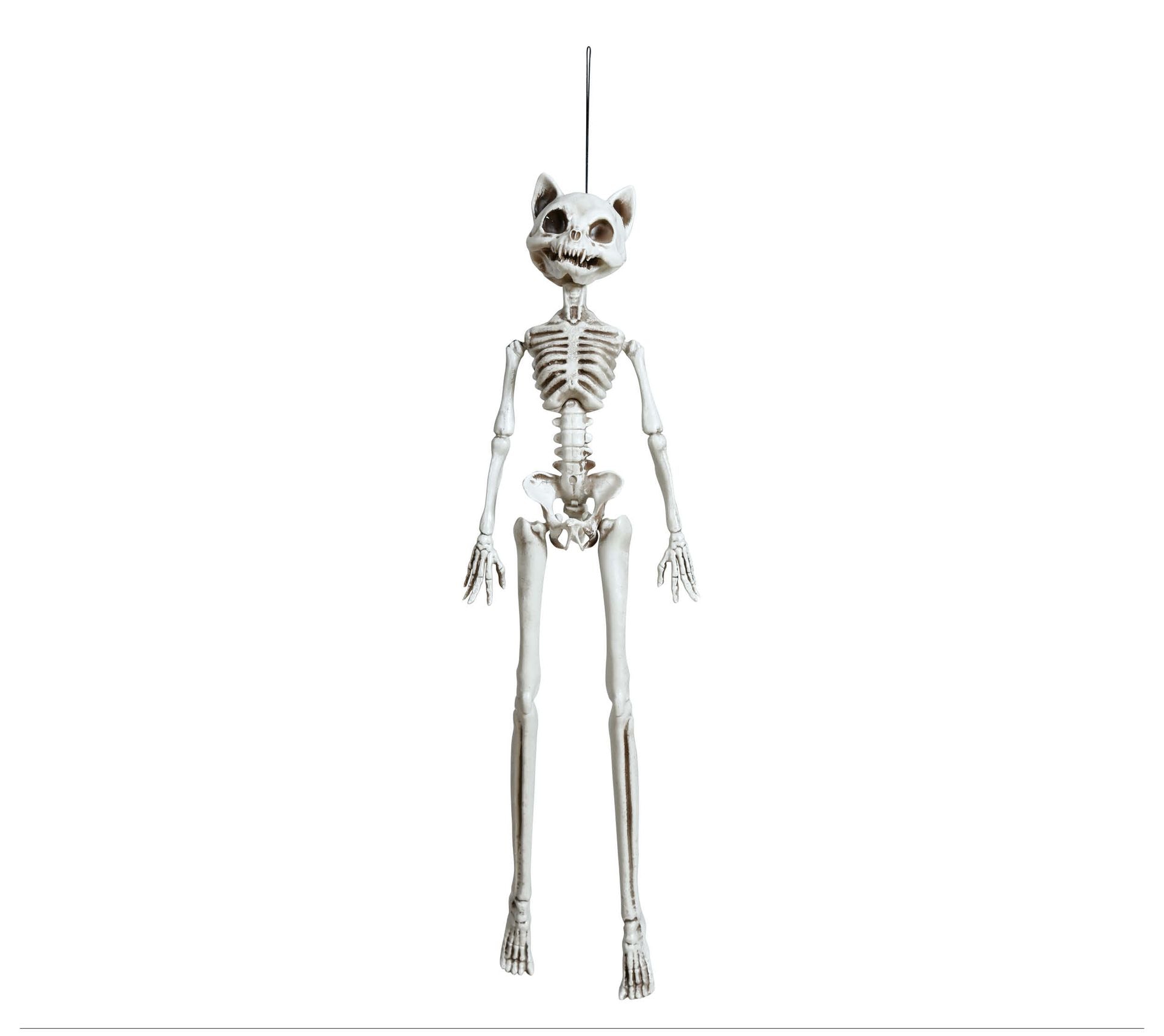 Hangdecoratie skelet kat 37 cm halloween