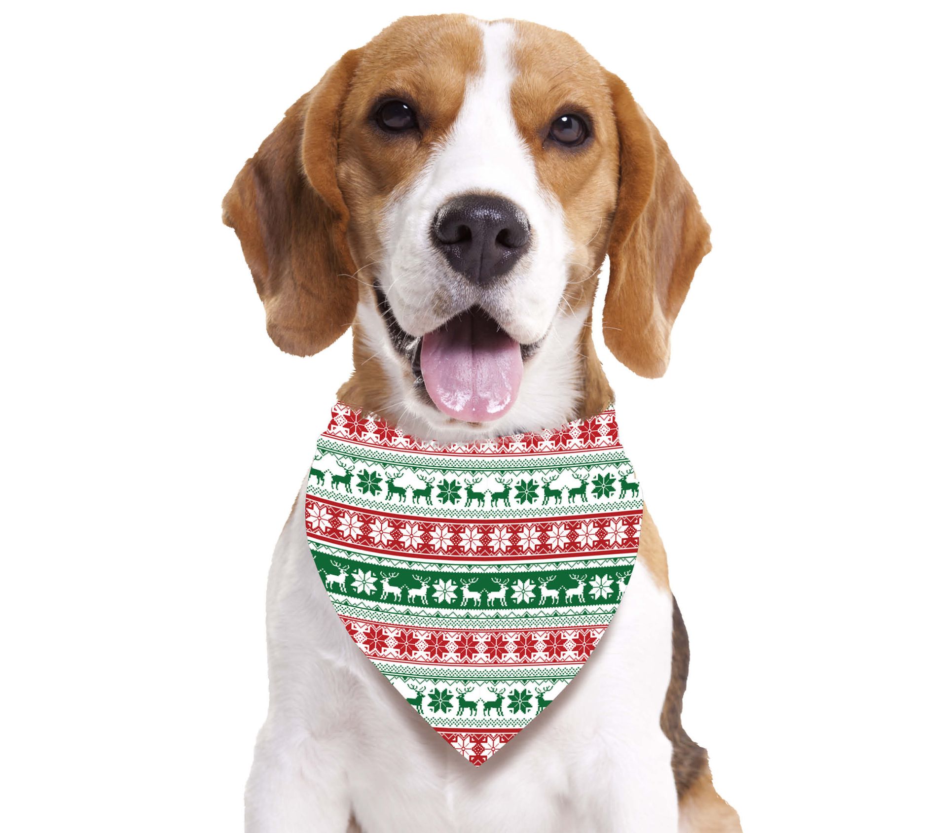 Kerstbandana voor honden met print