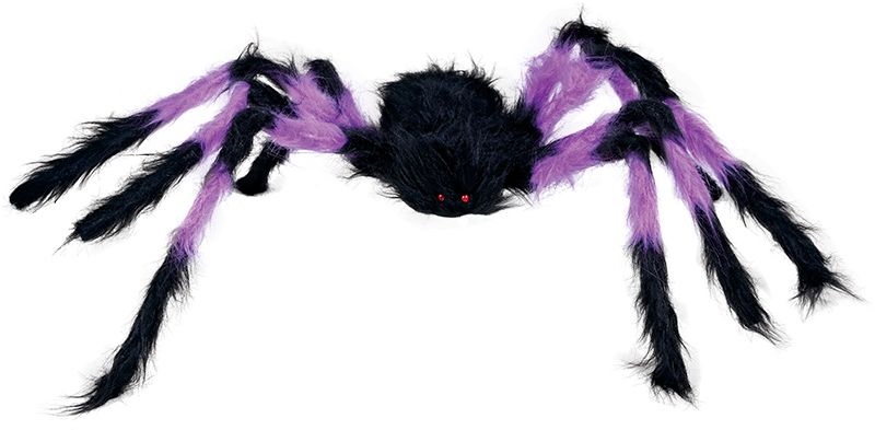 Zwart/paarse spin 75 cm halloween